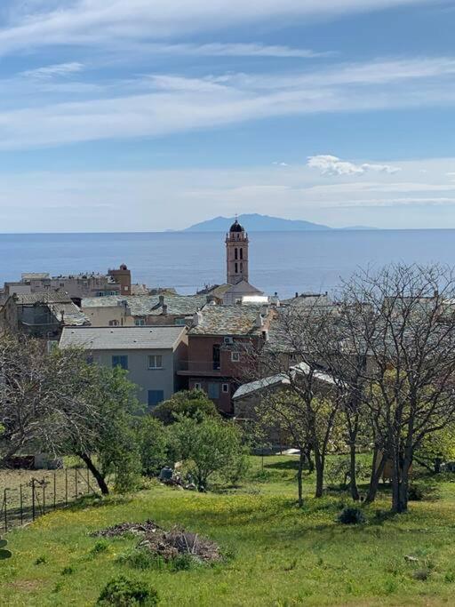 Magnifique Maison Avec Vue Mer Hauteur De Bastia 巴斯蒂亚 外观 照片